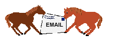 paarden met email plaatje