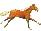 bruin paard