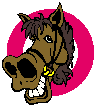 lachend paard