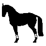 zwart paard