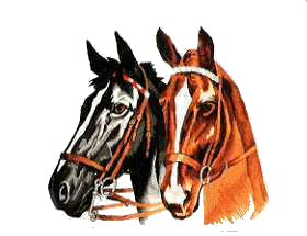 twee paardenhoofden